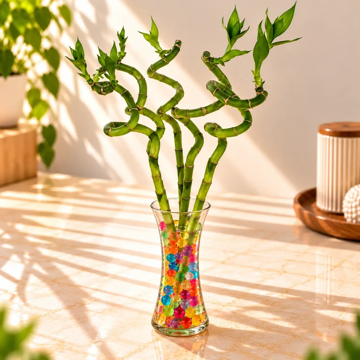 45cm_5stem_spiral_shape_lucky_bamboo
