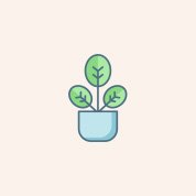 indoor-plants