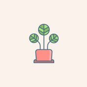 house-plants