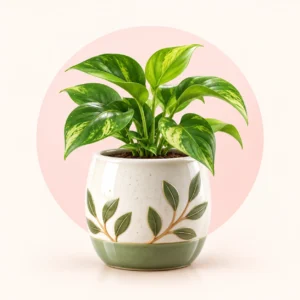ceramic-pots