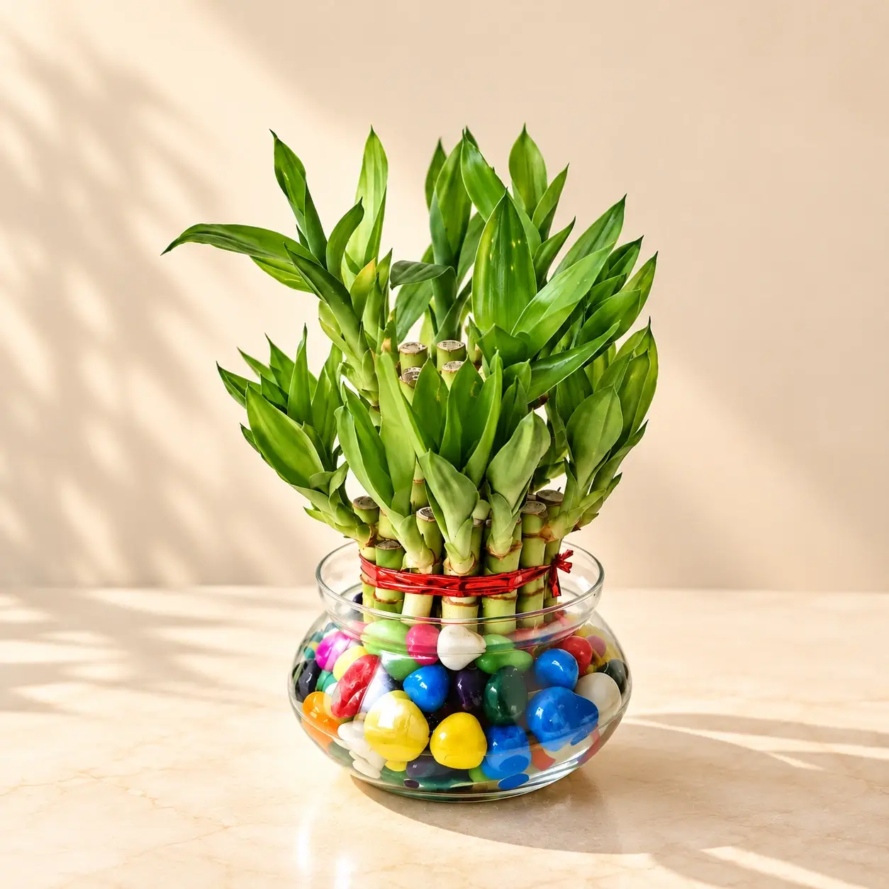 green-station-2-layer-lucky-bamboo-square