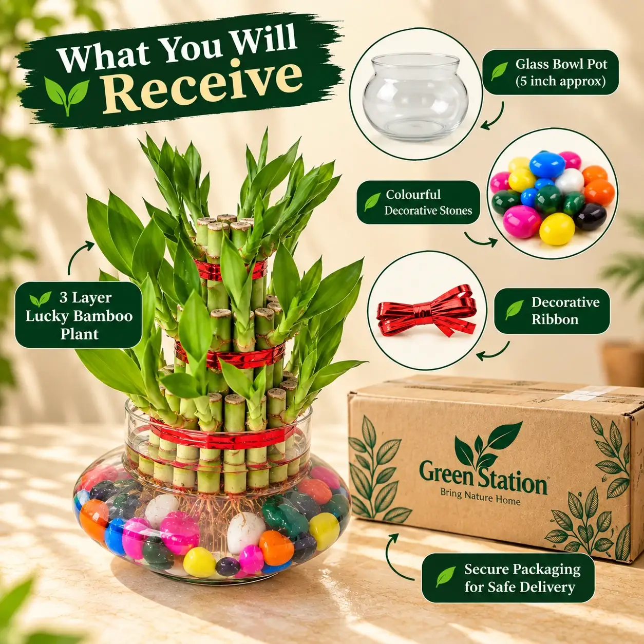 green-station-3-layer-what-you-receive