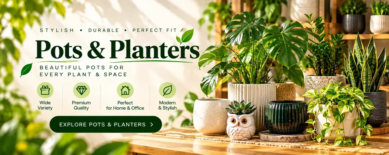 Image Slider